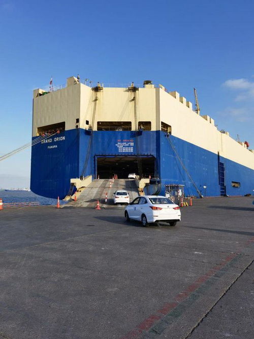 上半年兩江新區(qū)外貿(mào)進出口超1600億元 國內(nèi)貿(mào)易代理發(fā)揮關鍵作用