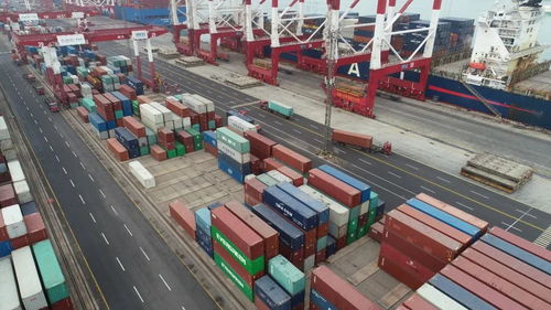 9月起實施新規(guī) 貨物進出口便利化與規(guī)范管理全面升級