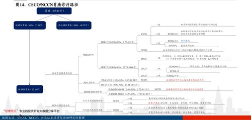 金財與中科金財（002657） 探索貨物進出口業務的戰略布局與市場前景
